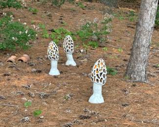 Concrete White Mushrooms