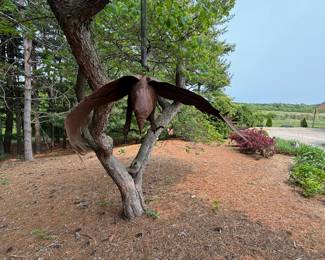 Flying Metal Eagle