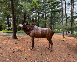 Large Elk Stag
