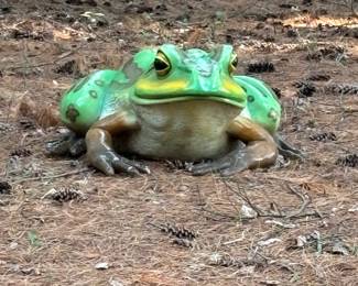 Green/Yellow Bullfrog