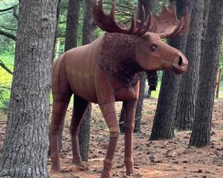 Large Moose Stag