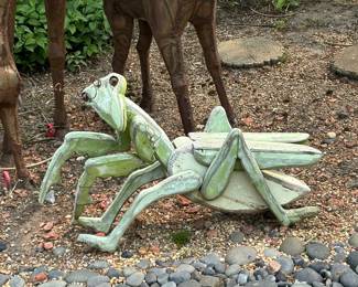 Large Wood Grasshopper