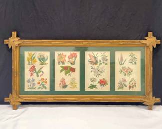 Variety Of Flowers Framed