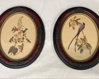 Vintage Old Bird Art Framed Oval Lithograph