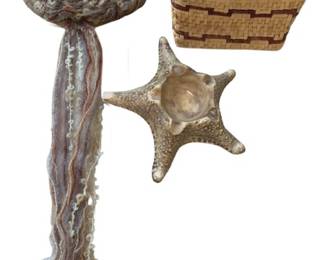 Coastal Themed Decor