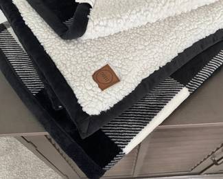 A41 - $15 PAIR of matching BH&G Throws.
