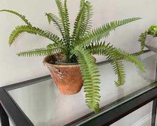 A21 - $5. Artificial Fern.