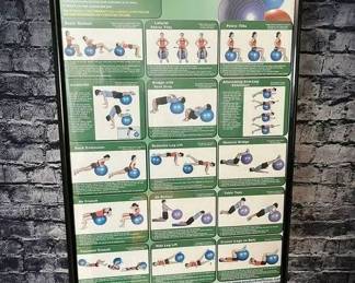 95 LOT. Body Ball Exercises Poster, Framed
