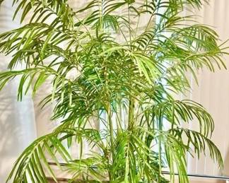 53 LOT. High End Large 7 Faux Palm