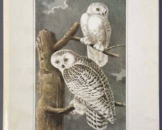 Art of Audubon Complete Birds & Mammals Book