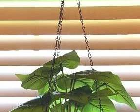 105 - Hanging Planter with Plant - 6" x 7"