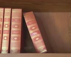 372 - Shelf Lot of Books