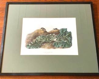 442 - Framed Print - 36" x 31"