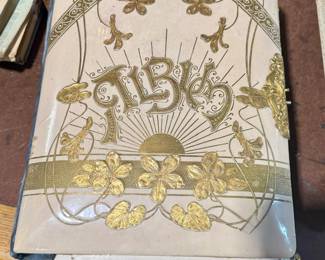 Victorian Picture Album