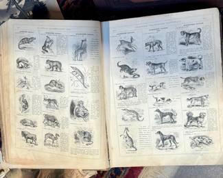 Pages in c1860 Webster Dictionary