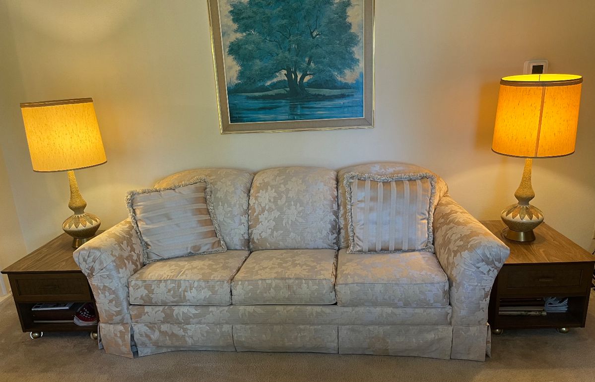 Vintage Sleeper Sofa