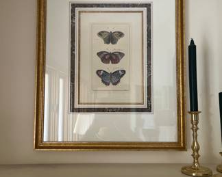 Pair of beautiful butterfly prints
