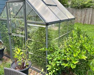 Greenhouse with plants for sale
