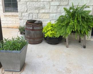 Planters/plants for your porch