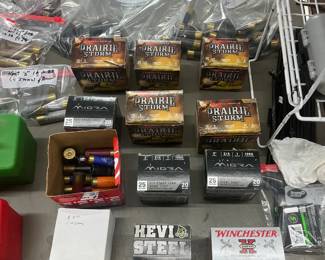Variety of shotgun shells