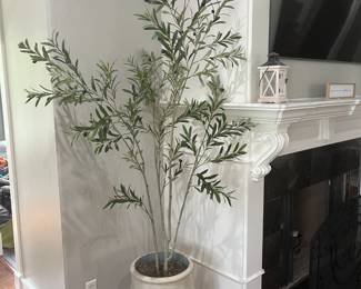 Pottery Barn large plant decor
