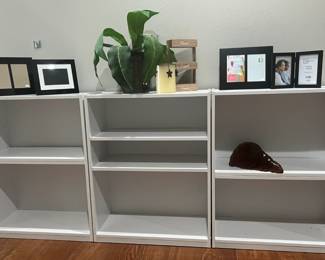 Storage shelves for any room