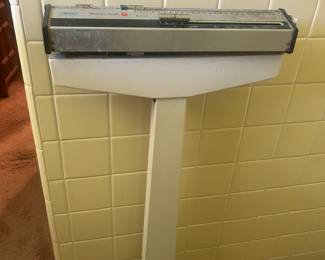 Dr. Scale