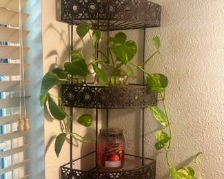 Corner Shelf
