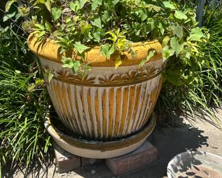 Pots / Planters