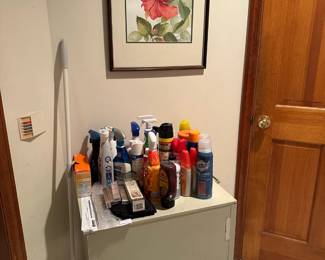 Cleaning Products, Cart, Picture