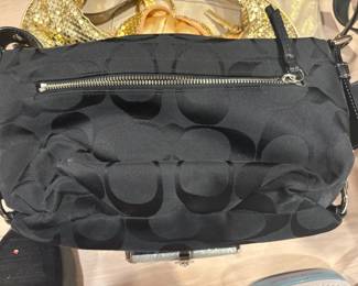 . . . another Coach purse