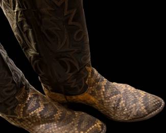 DAN POST Snakeskin Boots