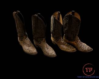 DAN POST Snakeskin Boots