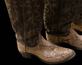 DAN POST Snakeskin Boots