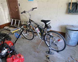 Adult bike complete with pump