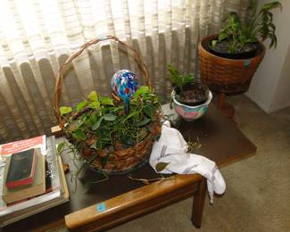 Scott, come rescue these plants