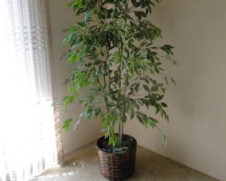 Faux Ficus tree