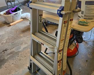Werner Ladder