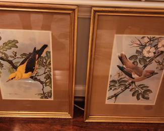 Set of 4