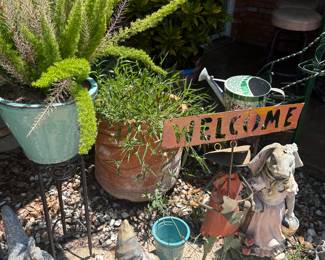 Plants