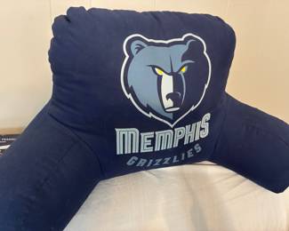 Grizz Study pillow