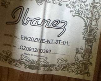 Ibanez guitar