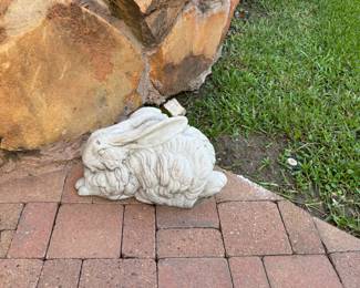 Outdoor Bunny Rabbit