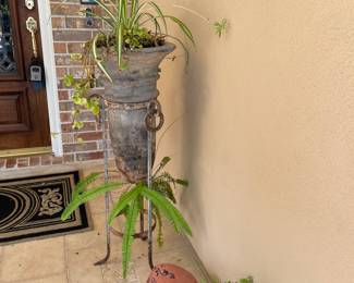 Live Plants