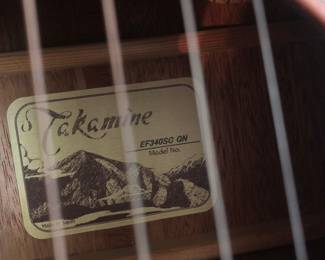  Takamine Acoustic-Electric Guitar EF340SC GN