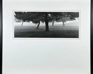 BLACK & WHITE LANDSCAPE PHOTOGRAPH |
Black and white landscape. Photograph. 8.25 x 19.5 in. Sight. Unsigned - h. 23.25 x w. 27.25 in
