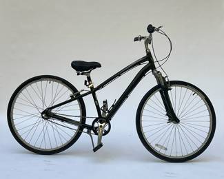GLOBE WOMEN'S HYBRID BIKE | Size small, with Nexus group.