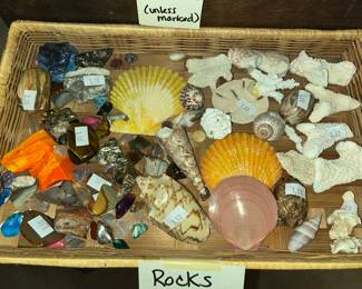 shells