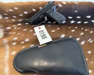 Sig Saur 225 9MM comes with 2 mags and soft case
