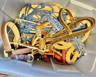 Horse Halters, Bridles, & ropes